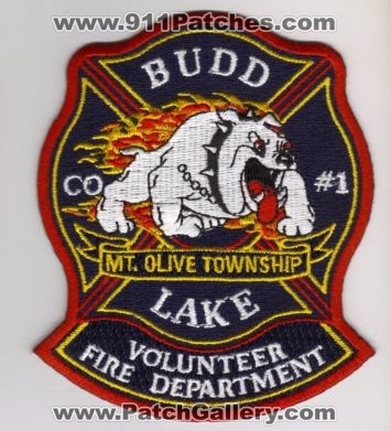 Budd Lake Volunteer Fire Department Co #1 (New Jersey)
Thanks to diveresq5 for this scan.
Keywords: company number mount mt olive township