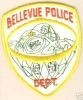 Bellevue_Police_OLD.jpg