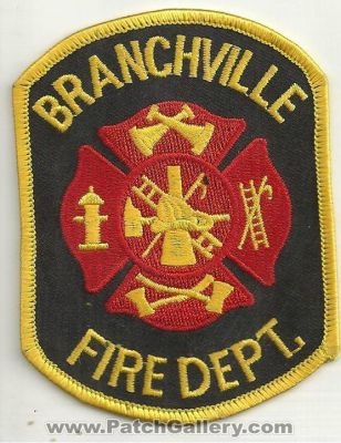 Branchville Fire Department Patch (South Carolina)
Thanks to Ronnie5411 for this scan.
Keywords: dept.