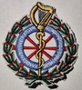 National_Ambulance_Service_28Ireland29.jpg