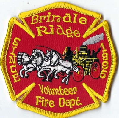 Brindle Ridge Volunteer Fire Department (KY)
