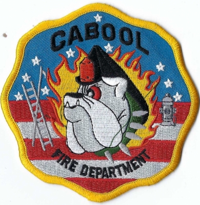 Cabool Fire Department (MO)
