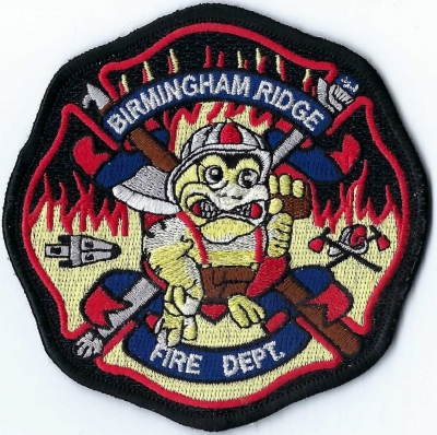 Birmingham Ridge Fire Department (MS)
