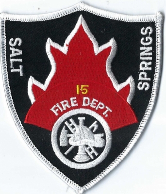 Salt Springs Fire Department (FL)
DEFUNCT - Merged w/Marion County Fire Rescue.
