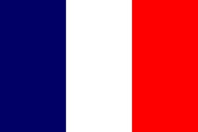 FRANCE * FLAG
