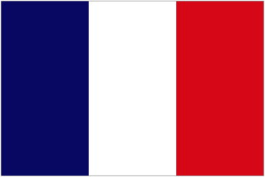 FRENCH GUIANA * FLAG
