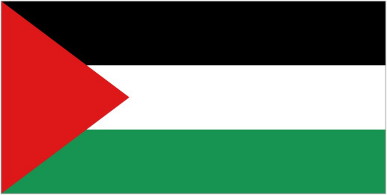 PALESTINE * FLAG
