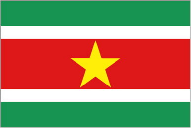 REPUBLIC OF SURINAME * FLAG
