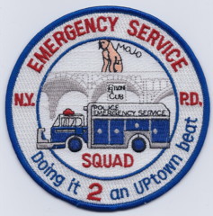 New York Emergency Service Squad 2 (NY)
