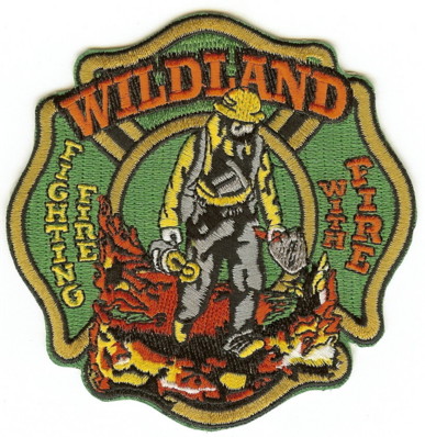 New York State Wildland Fire Fighting (NY)
