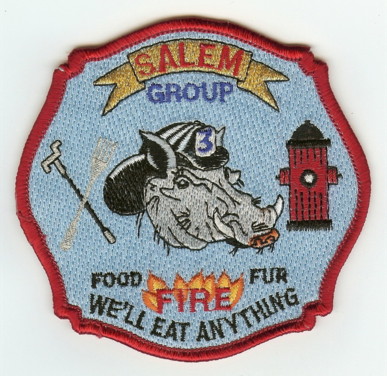 Salem Group 3 (NH)
