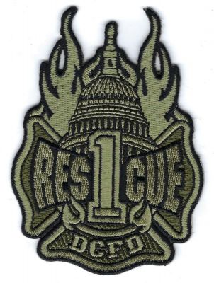 District of Columbia R-1 Subdued (DOC)
