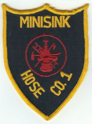 Minisink (NY)
