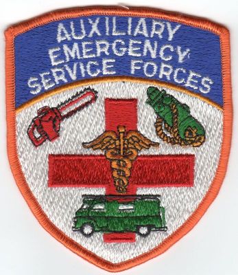 New York Auxiliary Emergency Service Forces (NY)
