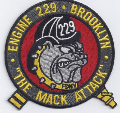 New York E-229 (NY)
