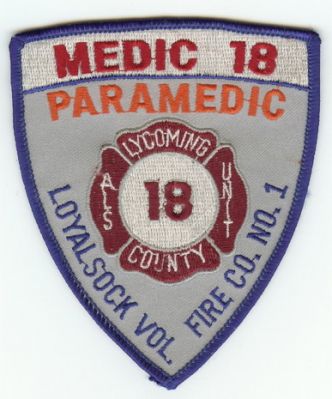 Loyalsock Paramedic (PA)
Older Version
