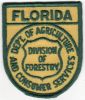 Florida_Division_of_Forestry_Type_3.jpg