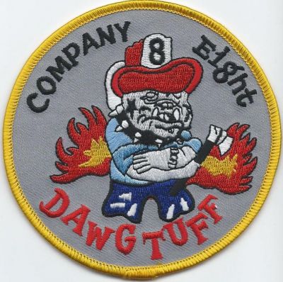 dekalb county fd - company 8 - V-2 ( GA )
