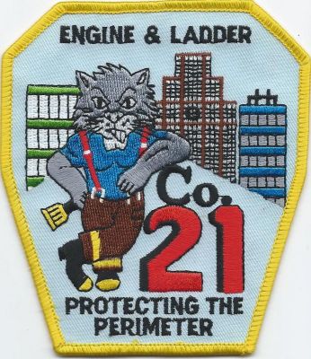 dekalb county fd - engine & ladder 21 ( GA ) V-1
