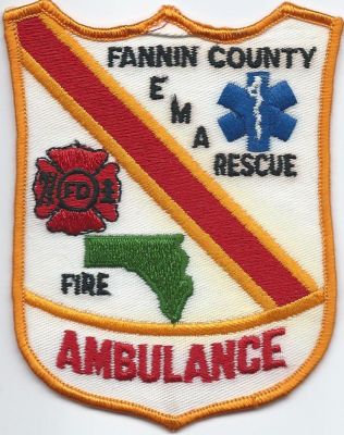 fannin county ambulance ( ga )
