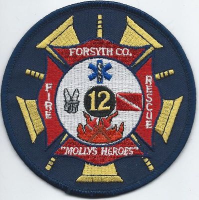 forsyth county fd - company 12 ( GA )
