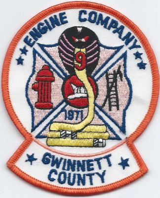 gwinnett county fd - engine co. 9 ( GA )
